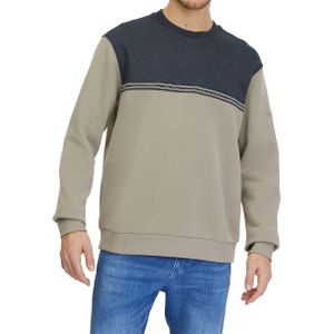 Ragwear - Sweatshirts - Bloggie Beige voor Heren van Katoen - Maat S