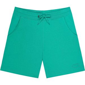 Picture Organic Clothing - Korte broeken - Augusto Shorts Spectra Green voor Heren van Katoen - Maat L - Groen