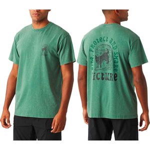Picture Organic Clothing - T-shirts - Picturide Tee Smoke Pine Washed voor Heren van Katoen - Maat S - Groen