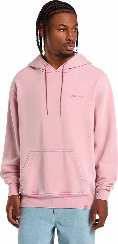 Dickies - Plentywood - Hoodie