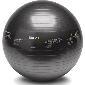 SKLZ Trainer Ball