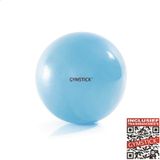 Gymstick Active Pilates Bal - 20cm - Met Online Trainingsvideo's