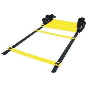 Toorx Loopladder - Speedladder