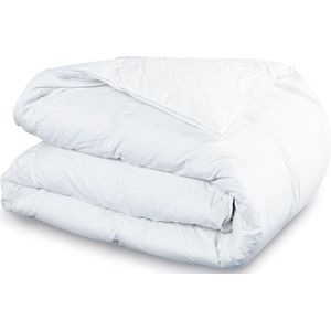 Dixxius Silver Royal 90% Dons Dekbed