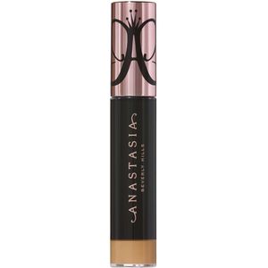 Anastasia Beverly Hills Magic Touch Concealer 17