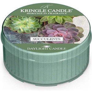 Kringle Candle Daylight Succulents 42 g