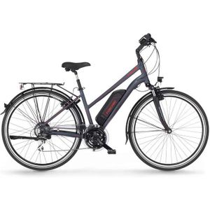 Fischer Etd 1806 Elektrische Damesfiets 28 Inch Donker Antraciet | Nieuw (outlet)