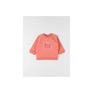 Sweater met leeuw, terracotta