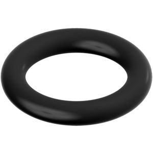 BOSCH O-Ring (10x), 87002050410
