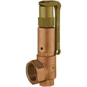 PNEUMATEX Sicherheitsventil DSV 50-8,0 DGH, GGG, Farbe Beryllium, 5366080