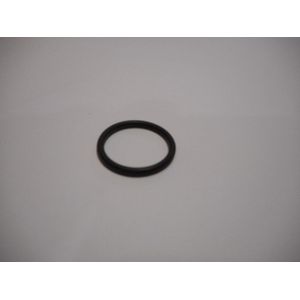 Remeha  O-Ring CG 10, 97957193