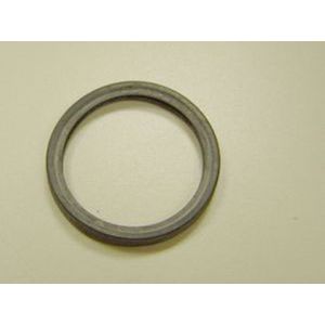 Remeha  Lippendichtung EPDM D80, 300001326