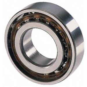 BOSCH Schrägkugellager 7202 2RS, 87182217210