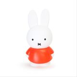 Atelier Pierre - Nijntje miffy -Spaarpot 18cm