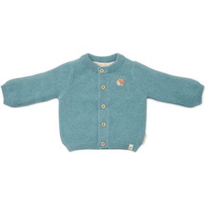 Little Dutch - Cardigan - Gebreid Vestje - Baby Blue