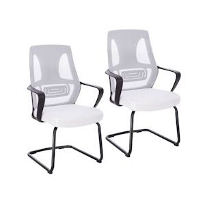 SVITA DELTA set van 2 bezoekersstoelen wit - wit Polyester 91257