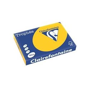 Clairefontaine Trophée Intens, gekleurd papier, A3, 160 g, 250 vel, zonnebloemgeel - 3329680114508