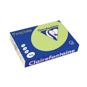 Clairefontaine Trophée gekleurd papier, A4, 80 g, 500 vel, golfgroen - 669373