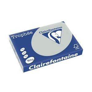 Clairefontaine Trophée Pastel, gekleurd papier, A3, 160 g, 250 vel, lichtgrijs - 3329680101003