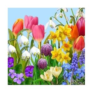 PAPSTAR, Servetten, 3-laags 1/4 vouw 33 cm x 33 cm "Flowers of Spring" - Papier 87350