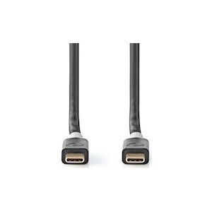 Nedis USB-Kabel - USB 3.2 Gen 2x2 - USB-C Male - USB-C Male - 100 W - 4K@60Hz - 20 Gbps - Verguld - 2.00 m - Rond - PVC - Zilver - Doos - 5412810332991