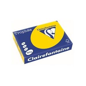 Clairefontaine Trophée Pastel, gekleurd papier, A4, 160 g, 250 vel, goudgeel - 3329680110302