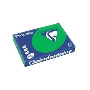 Clairefontaine Trophée Intens, gekleurd papier, A4, 120 g, 250 vel, bijartgroen - 3329680127102