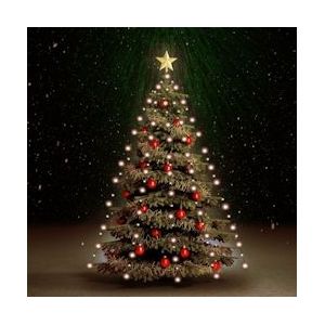 vidaXL Kerstboomverlichting met 180 LED's net 180 cm - 50699