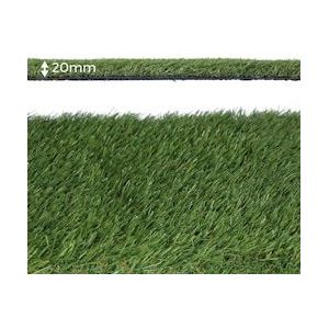 KUNSTGRAS SIERLIJK 20MM 1X5MTS EDM - meerkleurig Multi-materiaal 8425998758269