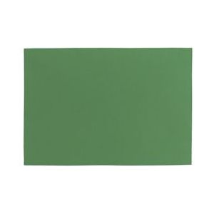 Unique Living Placemat Fonz 33x48cm forest green - groen Polyester 8714503993401