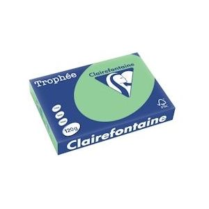 Clairefontaine Trophée Pastel, gekleurd papier, A4, 120 g, 250 vel, natuurgroen - 1228C