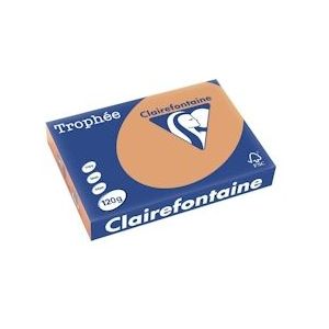 Clairefontaine Trophée Pastel, gekleurd papier, A4, 120 g, 250 vel, mokkabruin - 3329680124408