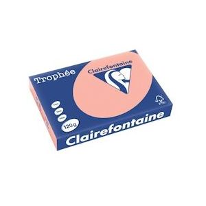 Clairefontaine Trophée Pastel, gekleurd papier, A4, 120 g, 250 vel, perzik - 1243C