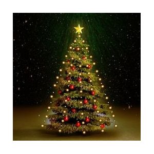 vidaXL Kerstboomverlichting met 150 LED's net 150 cm - 50698