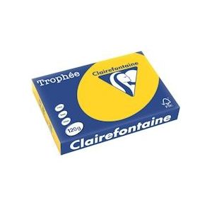 Clairefontaine Trophée Pastel, gekleurd papier, A4, 120 g, 250 vel, goudgeel - 1206C