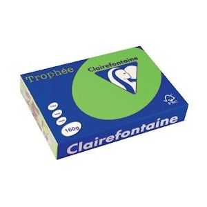 Clairefontaine Trophée Intens, gekleurd papier, A4, 160 g, 250 vel, grasgroen - 475296
