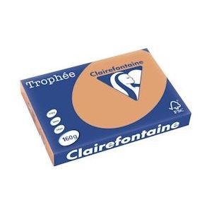 Clairefontaine Trophée Pastel, gekleurd papier, A3, 160 g, 250 vel, mokkabruin - 3329680110906