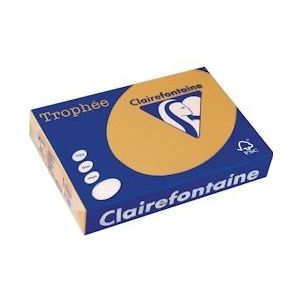 Clairefontaine Trophée Pastel, gekleurd papier, A4, 160 g, 250 vel, mokkabruin - 3329680110203