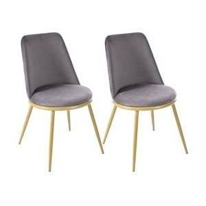 Merax eetkamerstoel (2 stuks), metalen frame, keukenstoel, gestoffeerde stoel met rugleuning voor woonkamer, fluweel, grijs - grijs Multi-materiaal WF317031AAD