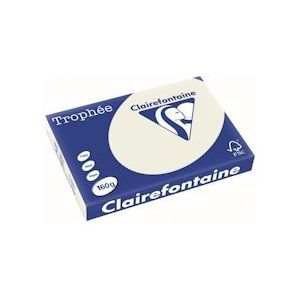 Clairefontaine Trophée Pastel, gekleurd papier, A3, 160 g, 250 vel, parelgrijs - 3329680106503