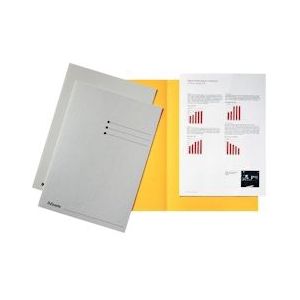 Esselte dossiermap grijs, karton van 180 g/m², pak van 100 stuks - 5411313895620
