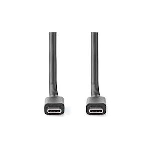 Nedis USB-Kabel - USB 3.2 Gen 2x2 - USB-C Male - USB-C Male - 100 W - 4K@60Hz - 20 Gbps - Vernikkeld - 2.00 m - Rond - PVC - Zwart - Label - 5412810422050
