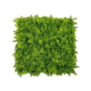 ULM |Premium gastronomische wand met essentiële bosplanten|Decoratie van het paneel van vierkante vloeren voor kunstmatige vloeren gemonteerd op muren - groen Kunststof 4255604500845