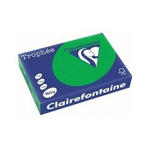Clairefontaine Trophée Intens, gekleurd papier, A4, 160 g, 250 vel, bijartgroen - 3329680100709
