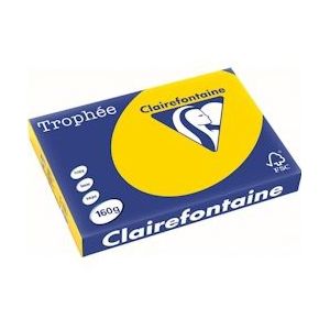 Clairefontaine Trophée Pastel, gekleurd papier, A3, 160 g, 250 vel, goudgeel - 3329680111002