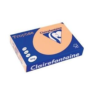 Clairefontaine Trophée gekleurd papier, A4, 80 g, 500 vel, zalm - 669233