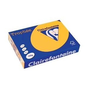 Clairefontaine Trophée Intens, gekleurd papier, A4, 120 g, 250 vel, zonnebloemgeel - 3329680125702