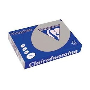 Clairefontaine Trophée gekleurd papier, A4, 80 g, 500 vel, lichtgrijs - 1993C