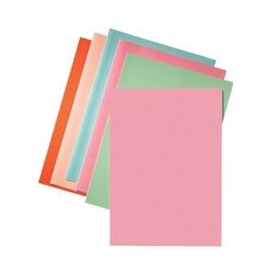 Esselte dossiermap roze, papier van 80 g/m², pak van 250 stuks - 5411313895507