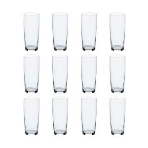 Mammoet Budgetline Bierglas 19 cl - 12 stuks